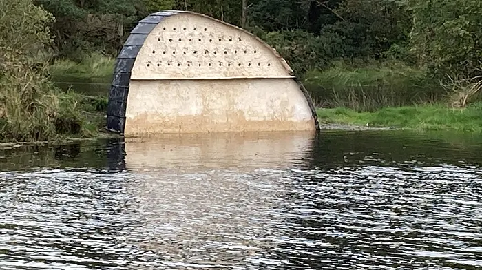 The new wave-like structure in the lagoon was constructed by a dedicated team of volunteers over the summer to provide a safe habitat for breeding sand martins when they return in the spring.
