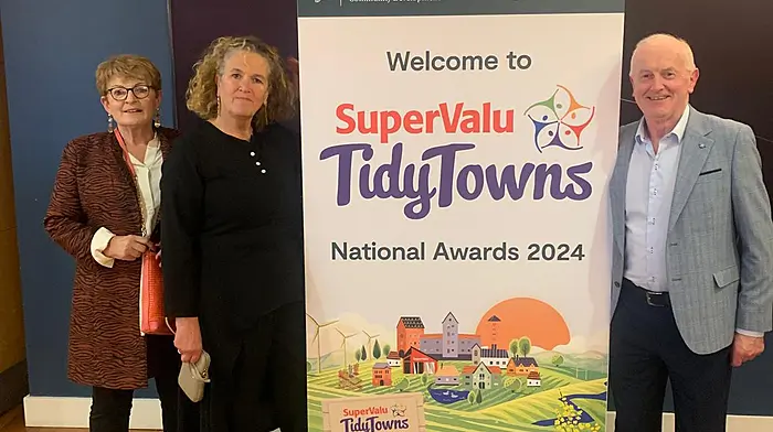 Liz Gibson, Debbie Delaney and Noel O'Mahony representing Bantry Tidy Towns at the SuperValu Tidy Towns National Awards in Croke Park last Friday.