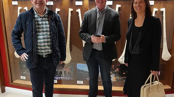 Innishannon Tidy Towns volunteers Gerry Foley, Peter Fehily and Eileen Walsh at the Tidy Towns Awards ceremony at Croke Park last Friday.