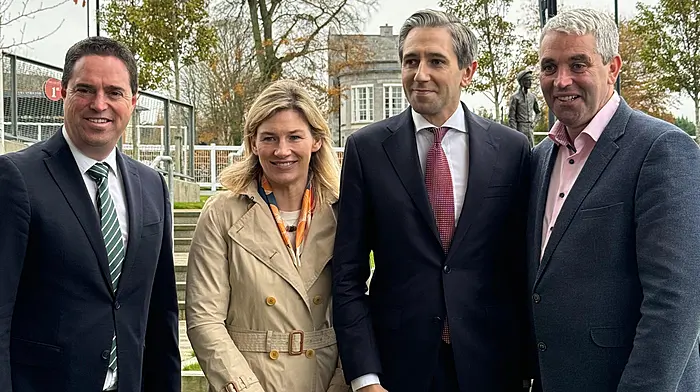 Taoiseach plans new water quality cabinet committee Image