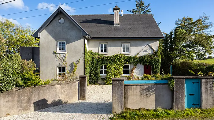 HOUSE OF THE WEEK: Modern living in stylish Lissarda home Image