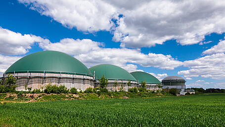EPA puts Timoleague plant on priority list Image