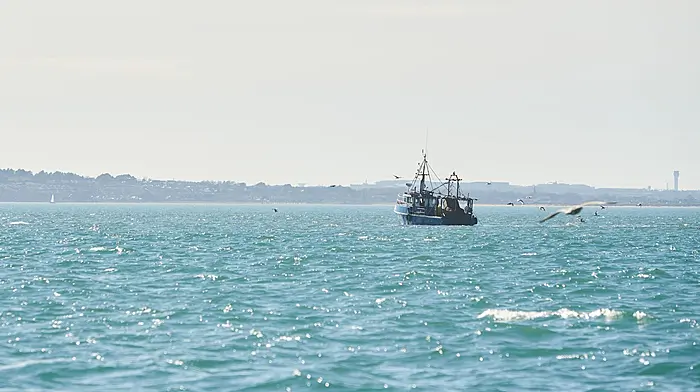 Fishing sector lays out election issues Image