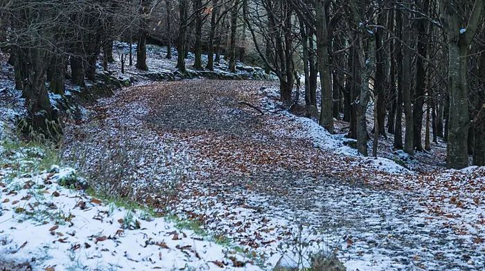 Snow and ice warning for West Cork Image