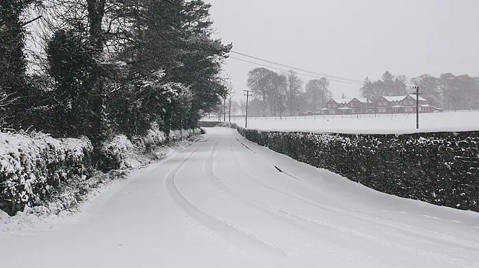 Status yellow rain, sleet and snow warning for Thursday Image