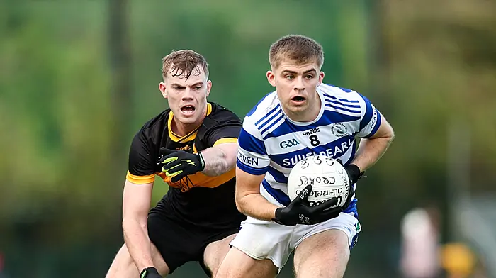 Munster club defeat will sting off-colour Haven Image