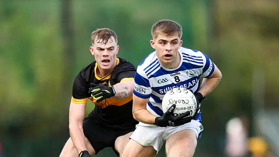 Munster club defeat will sting off-colour Haven Image
