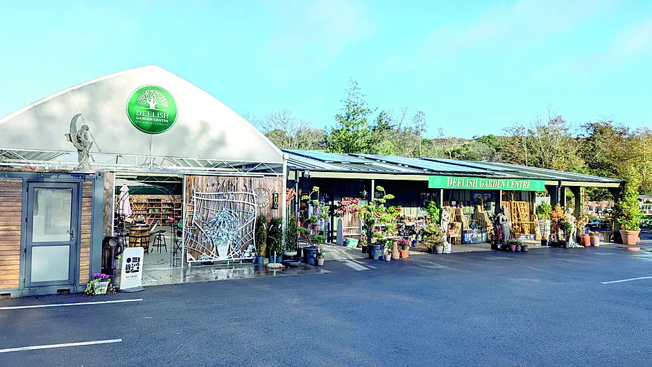 Deelish Garden Centre, always in tune with each season Image