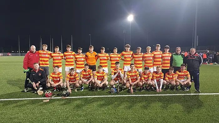 ‘The future is bright for Newcestown hurling’ Image
