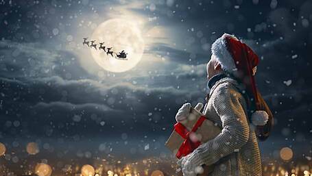 The West Cork Reindeer who saved Christmas Image