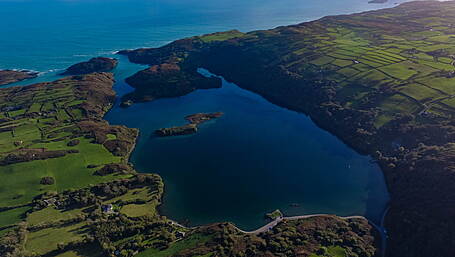 Lough Hyne is dying … but it’s not too late to save it, say marine scientists Image