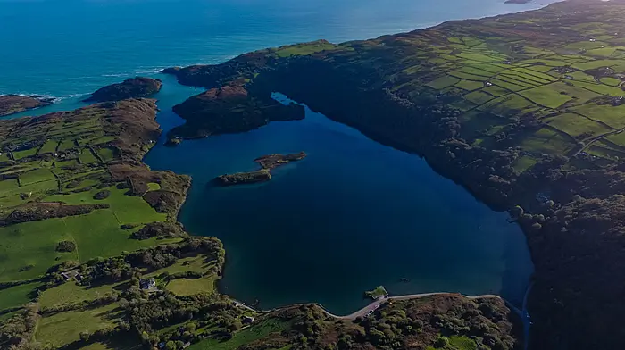Lough Hyne is dying … but it’s not too late to save it, say marine scientists Image