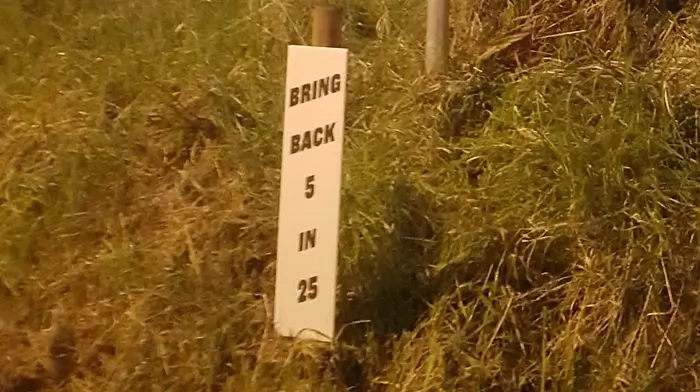 Cryptic ‘5 in 25’ signs in Skibb Image