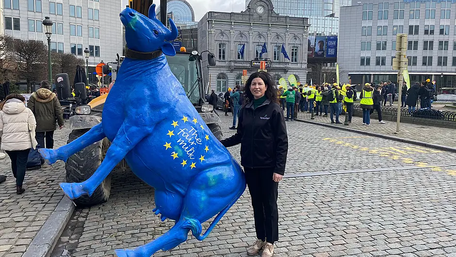 Mercosur deal would be ‘nail in the coffin for beef producers’ Image