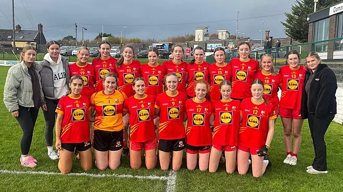 Tadhg MacCarthaigh book place in county minor final Image
