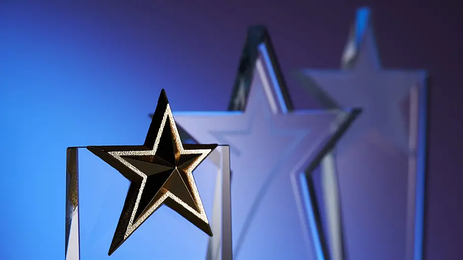 Coachford pupils get garda award Image