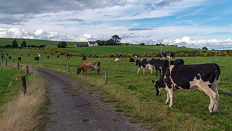 Derogation in focus at Clon IFA conference Image