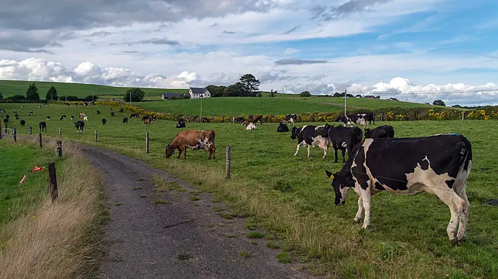 Derogation in focus at Clon IFA conference Image