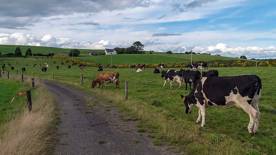 Derogation in focus at Clon IFA conference Image