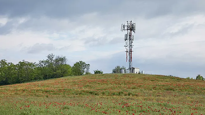 Payments for hosting phone masts Image