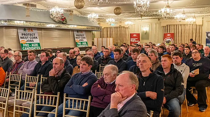 Conference attendees listen intently to the speakers. (Photo: Andy Gibson.)