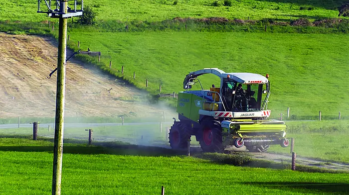 TV producers send call to West Cork contractors Image