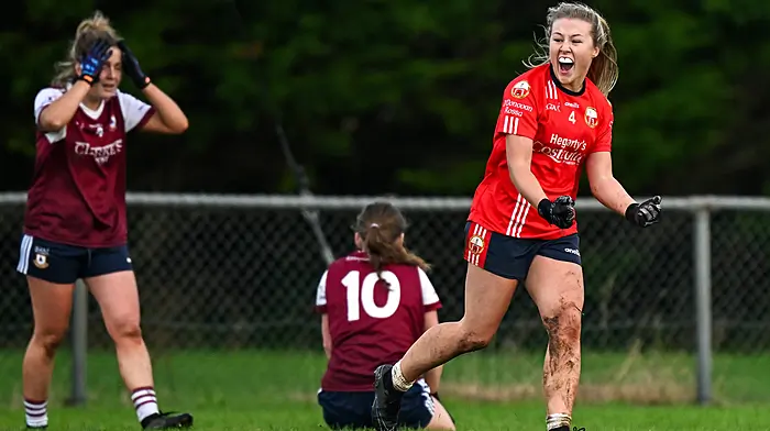 Tobin: All-Ireland semi-final loss will make O’Donovan Rossa a stronger team Image