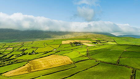Farmers to receive NPI payments as part of the 2023 Acres scheme Image