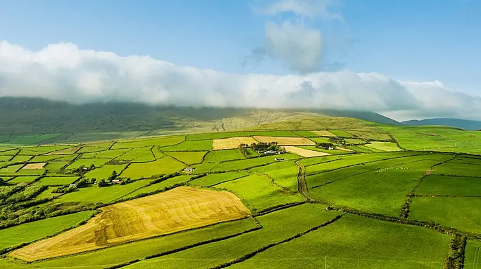 Farmers to receive NPI payments as part of the 2023 Acres scheme Image