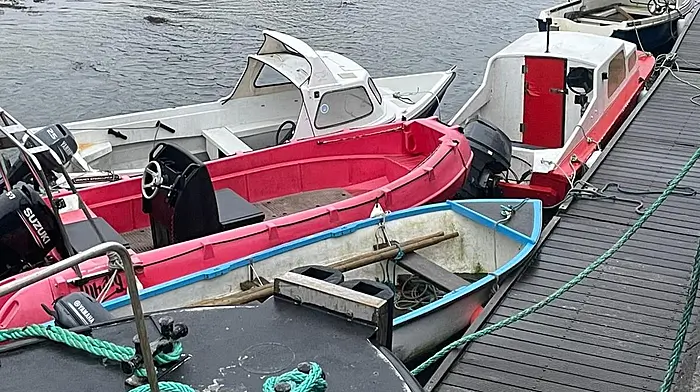 Cllr Collins critical of number of boats tied up at Bere pier Image