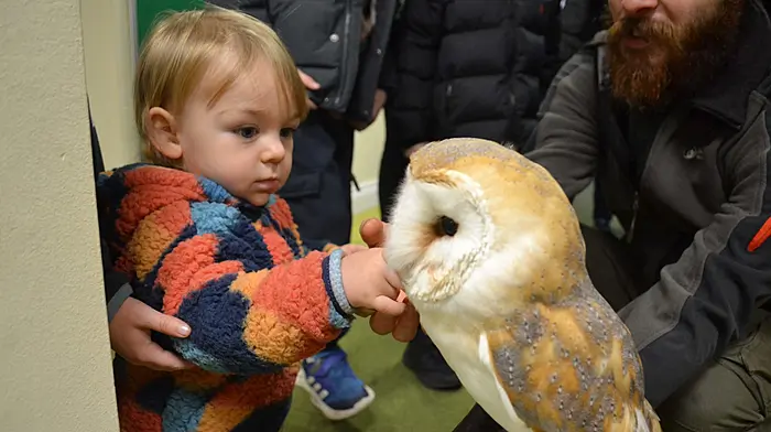Young Cuan Holland is fascinated with Betsy the Barn Owl during the visit of the Animal Roadshow mini zoo to Skibbereen Tourist Office. (Photo: Anne Minihane)
