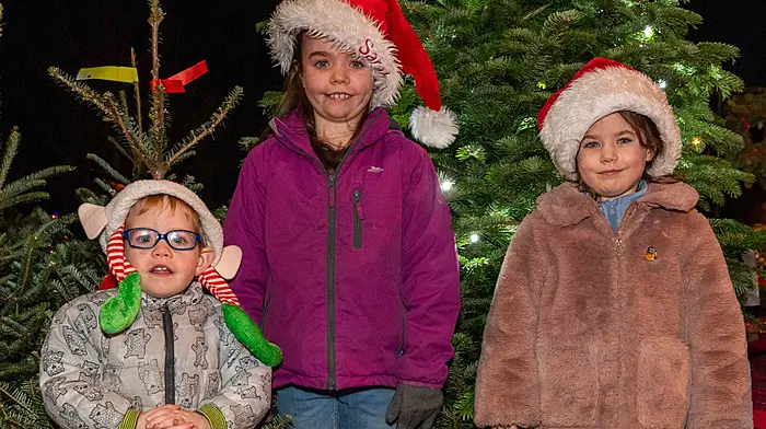 Leap held its annual 'Lights Up' Parade in Leap. (Photo: Andy GIbson)