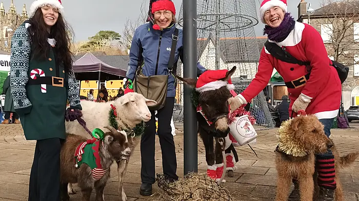 Kate Wholihane, Eleanor Fitzgerald, Sandra Schmid, and the animal team from Hairy Henry Care Farm, busy fundraising at the Bantry Market last Friday.