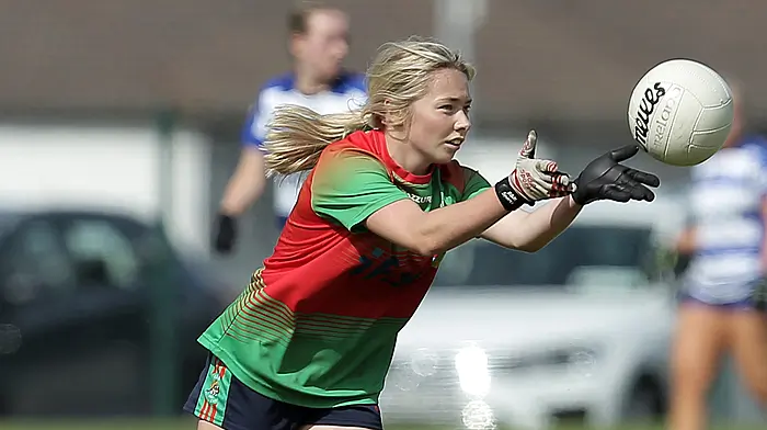 Meet the West Cork LGFA team of the year Image