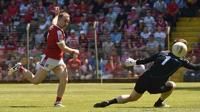 JOHN HAYES: The good, the bad and the very, very ugly from the 2024 season Image