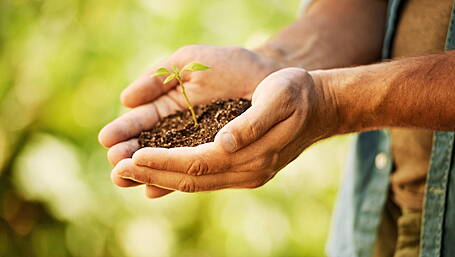 Cost of doing business rises by over 50% in horticulture sector Image