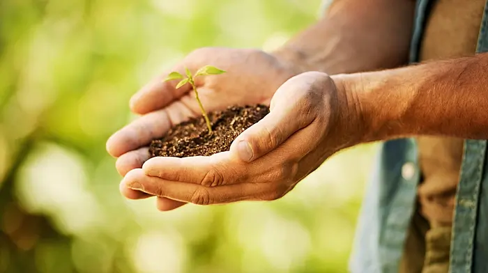 Cost of doing business rises by over 50% in horticulture sector Image