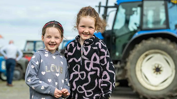 Out and About in West Cork Image