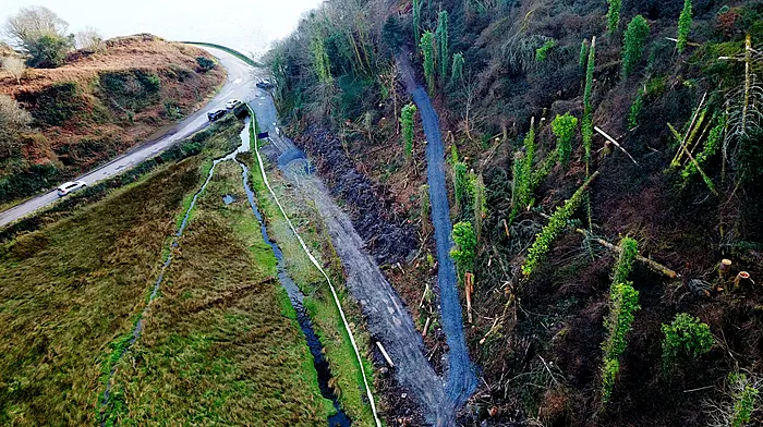 Alternative routes being considered for some popular Lough Hyne trails Image