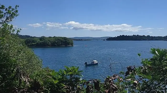 Glengarriff food traders maintain presence Image