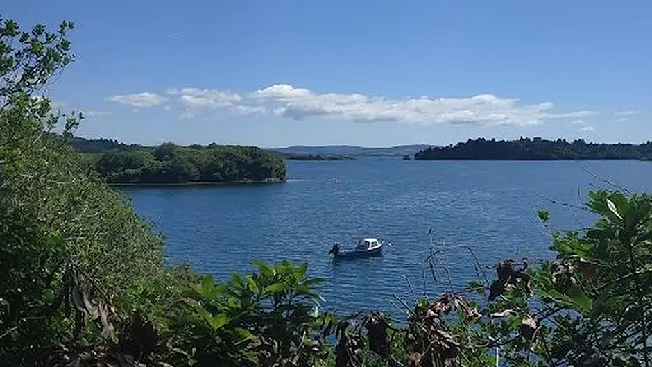 Glengarriff food traders maintain presence Image
