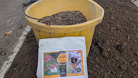 Wildflower project will brighten up main Skibbereen to Cork road Image
