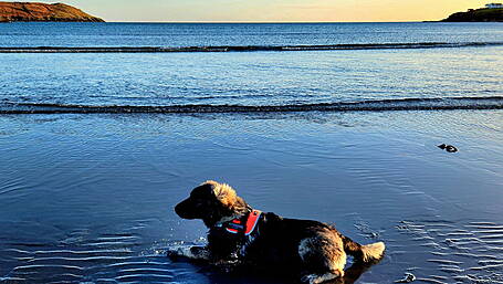 Reader’s Picture of the Week Image