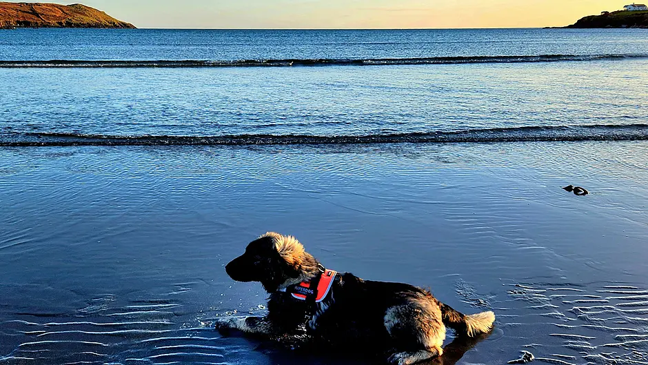 Reader’s Picture of the Week Image