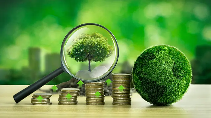 Climate funding for Kilmurry, Baltimore and Ballydehob Image