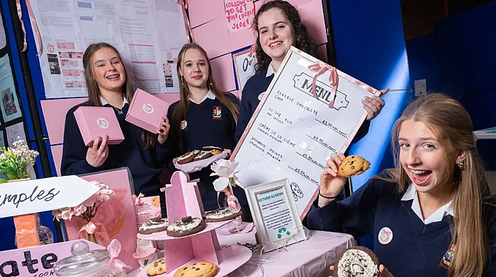 Macroom pupils clean up at Student Enterprise awards Image