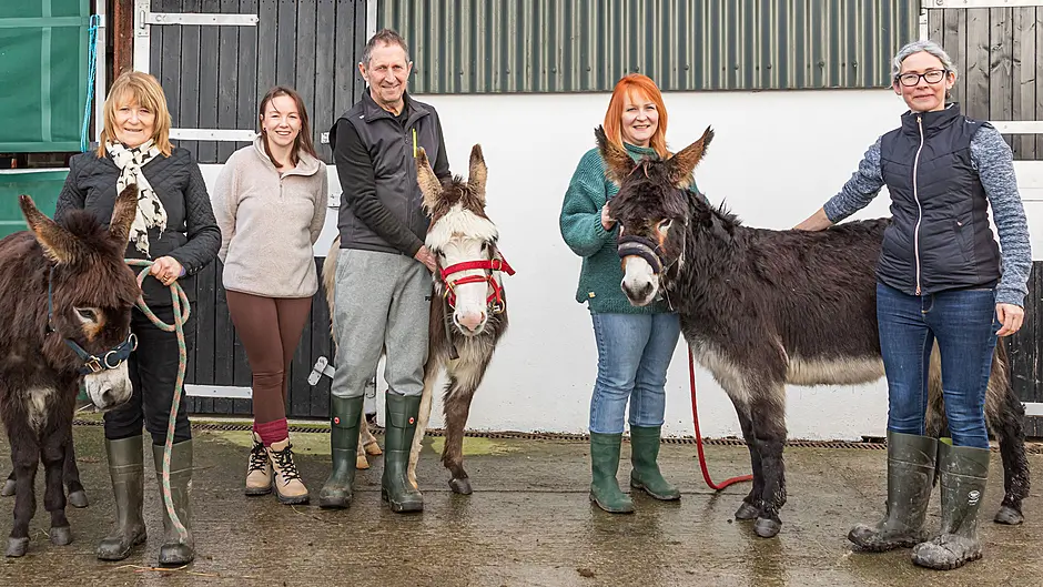 Beara Equine Support: donkeys on remote peninsula get top treatment Image