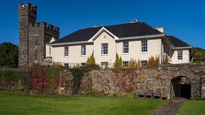 PHOTOS: Inside the Disney castle for sale in West Cork Image