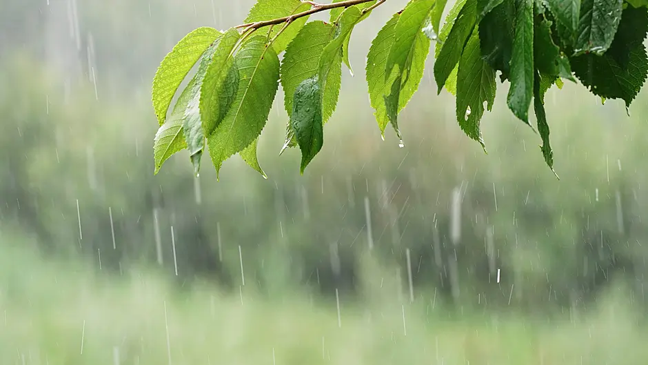 Yellow weather warning issued for West Cork Image