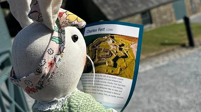 Missing carrots in Charles Fort Image